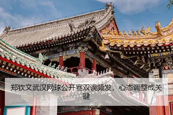 zheng-qin-wen-wu-han-wang-qiu-gong-kai-sai-shuang-wu-pin-fa-xin-tai-tiao-zheng-cheng-guan-jian-3-238.jpg