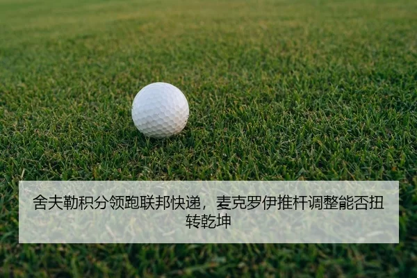 she-fu-lei-ji-fen-ling-pao-lian-bang-kuai-di-mai-ke-luo-yi-tui-gan-tiao-zheng-neng-fou-niu-zhuan-qian-kun-3-816.jpg