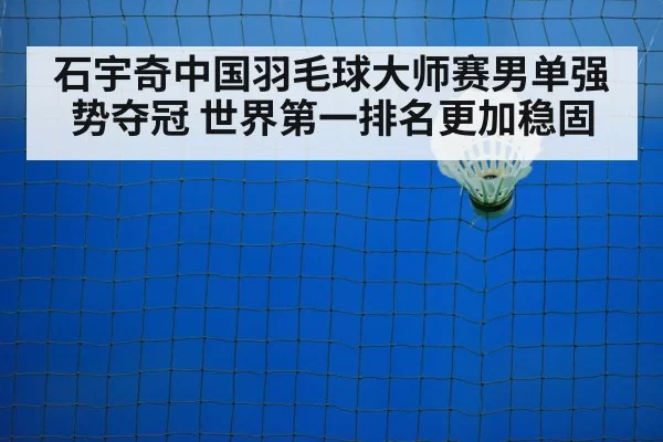 badminton net shot